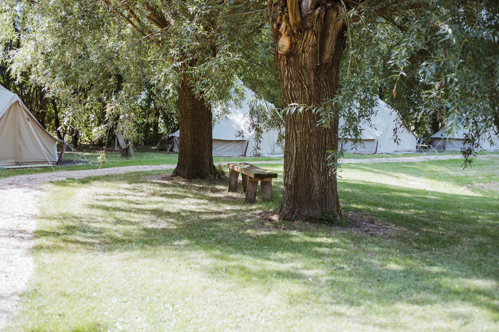 Bomen in avondlicht op De Kunstwei