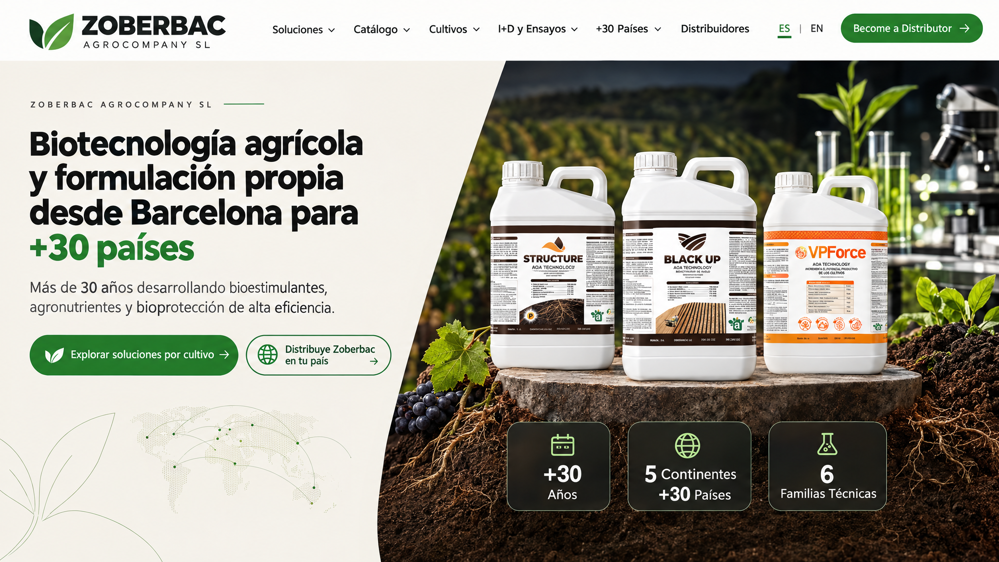 Home B2B: STRUCTURE, BLACK UP® y VP FORCE reales + Posicionamiento Internacional