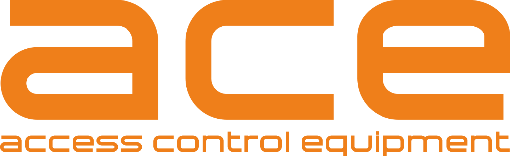 ACE 2011 Logo