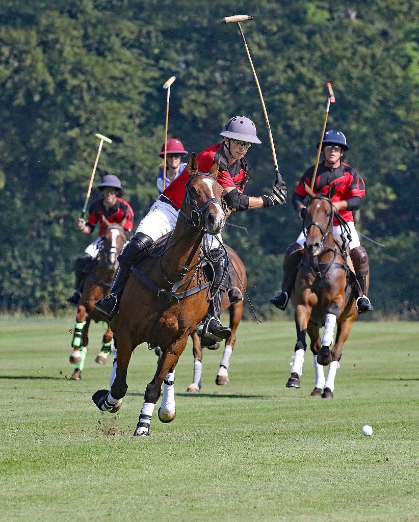 Polo