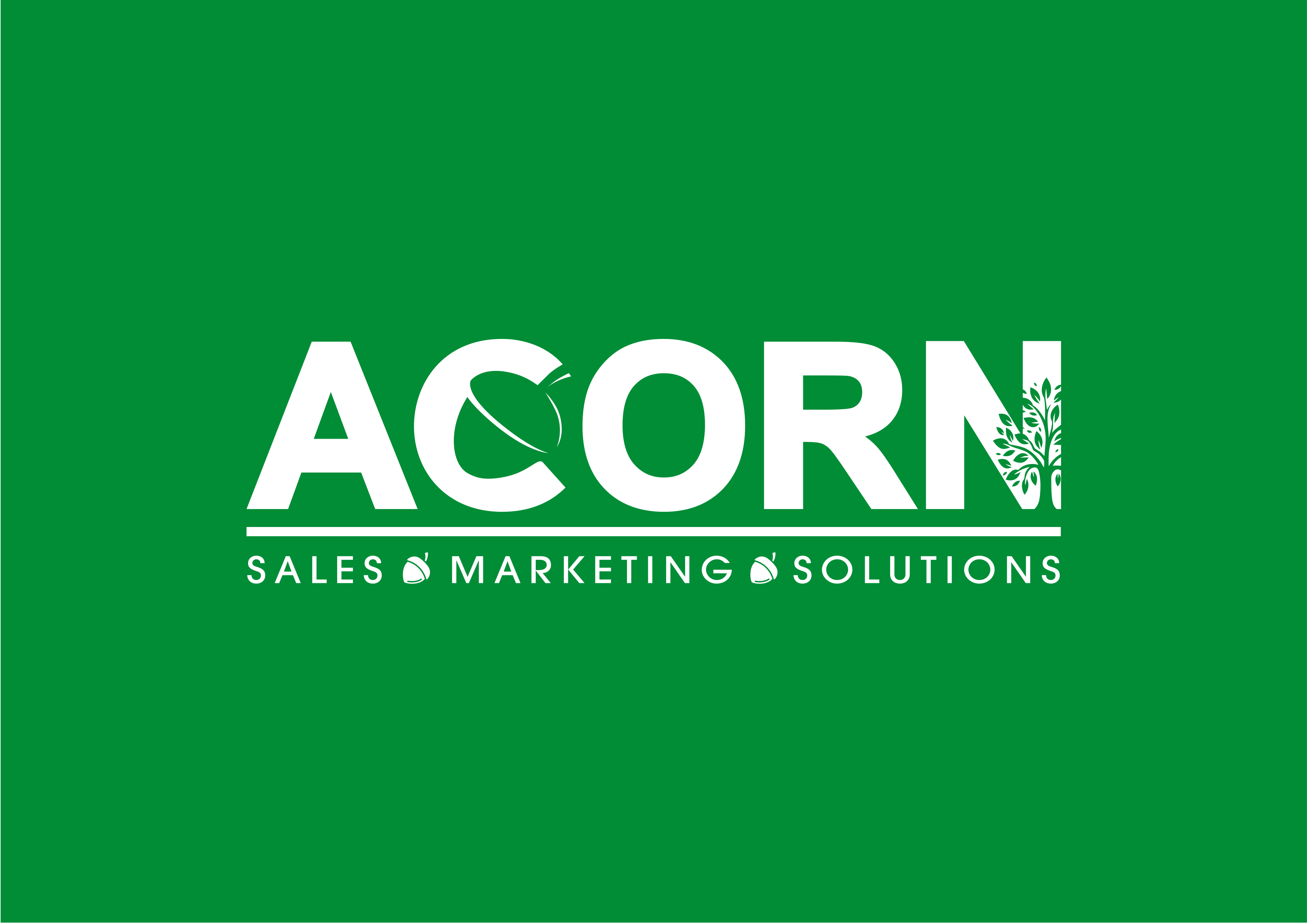 Acorn Solutions