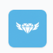 FlyIN Diamond