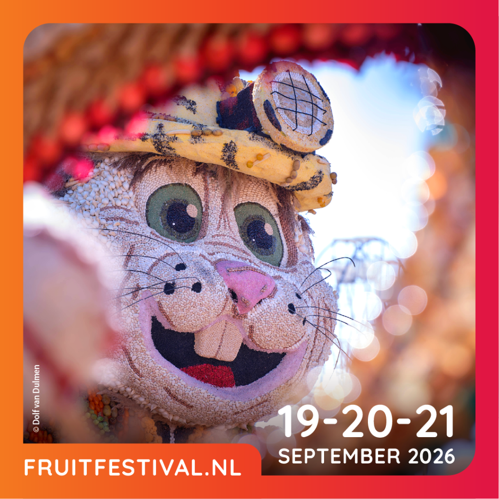Kinderplein bij Fruitfestival Tiel