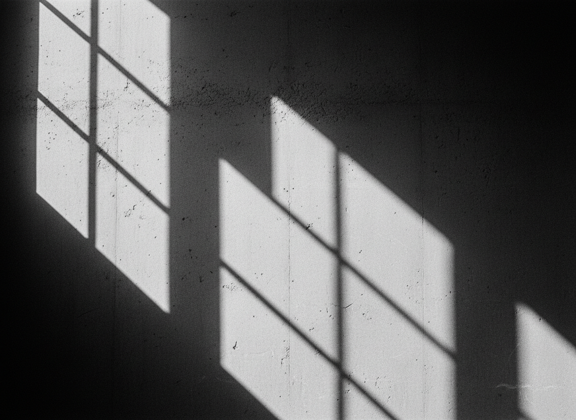 Motion Design
