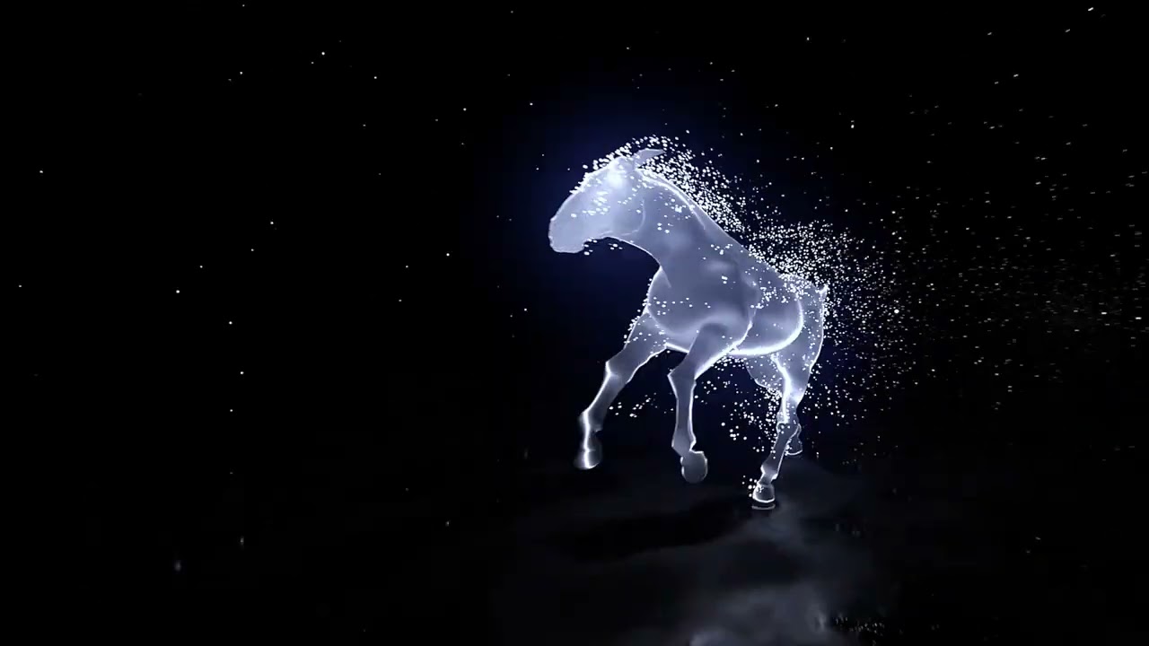 EQUIOCIO - Introduction production