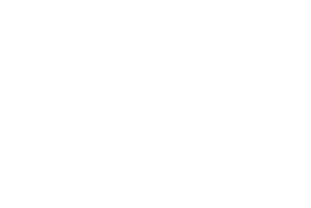 Prenda Car
