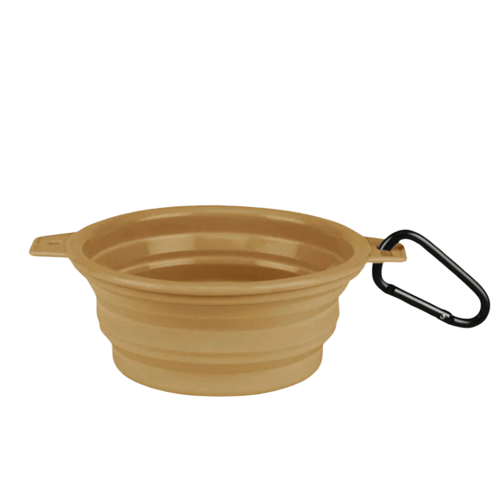Collapsible Bowl