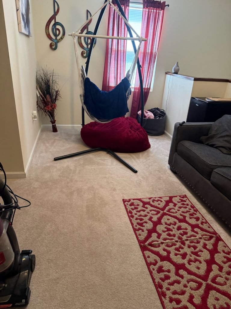 Carpet & Interior Clean