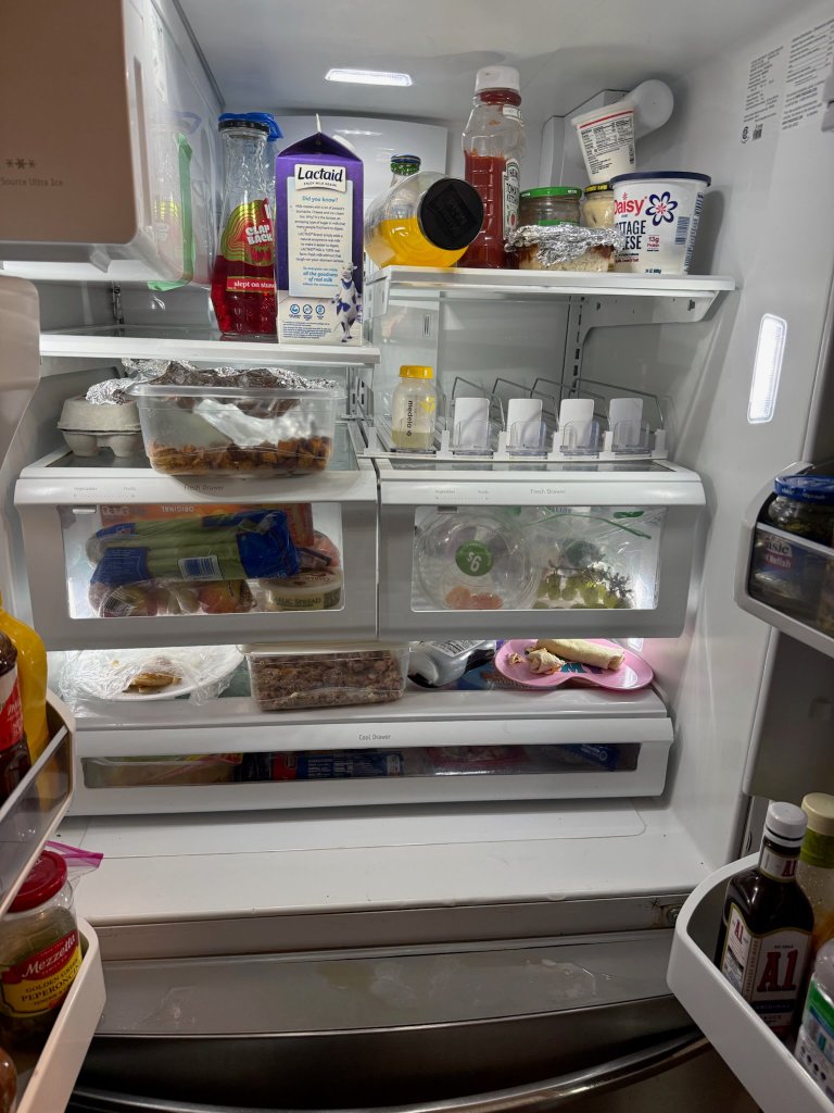 Before - Refrigerator Deep Clean