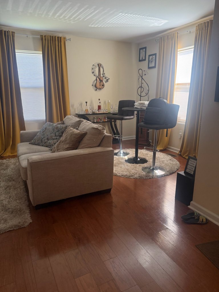 Living Room Clean