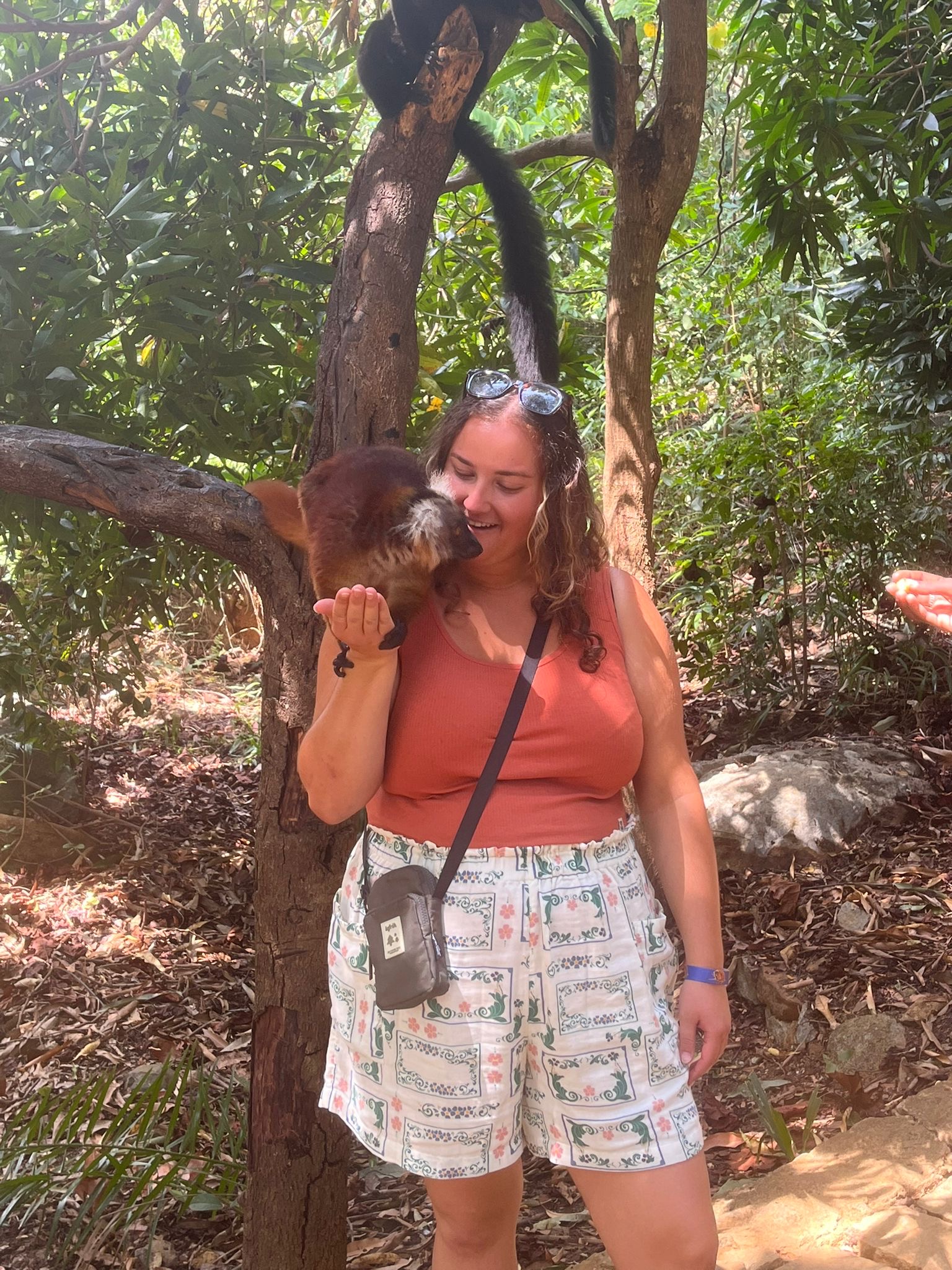 Intern meeting a lemur