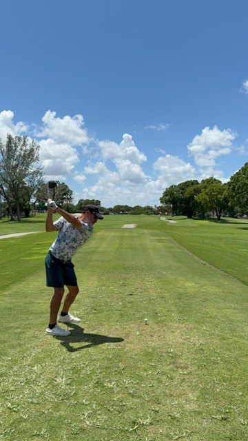 Pure swing