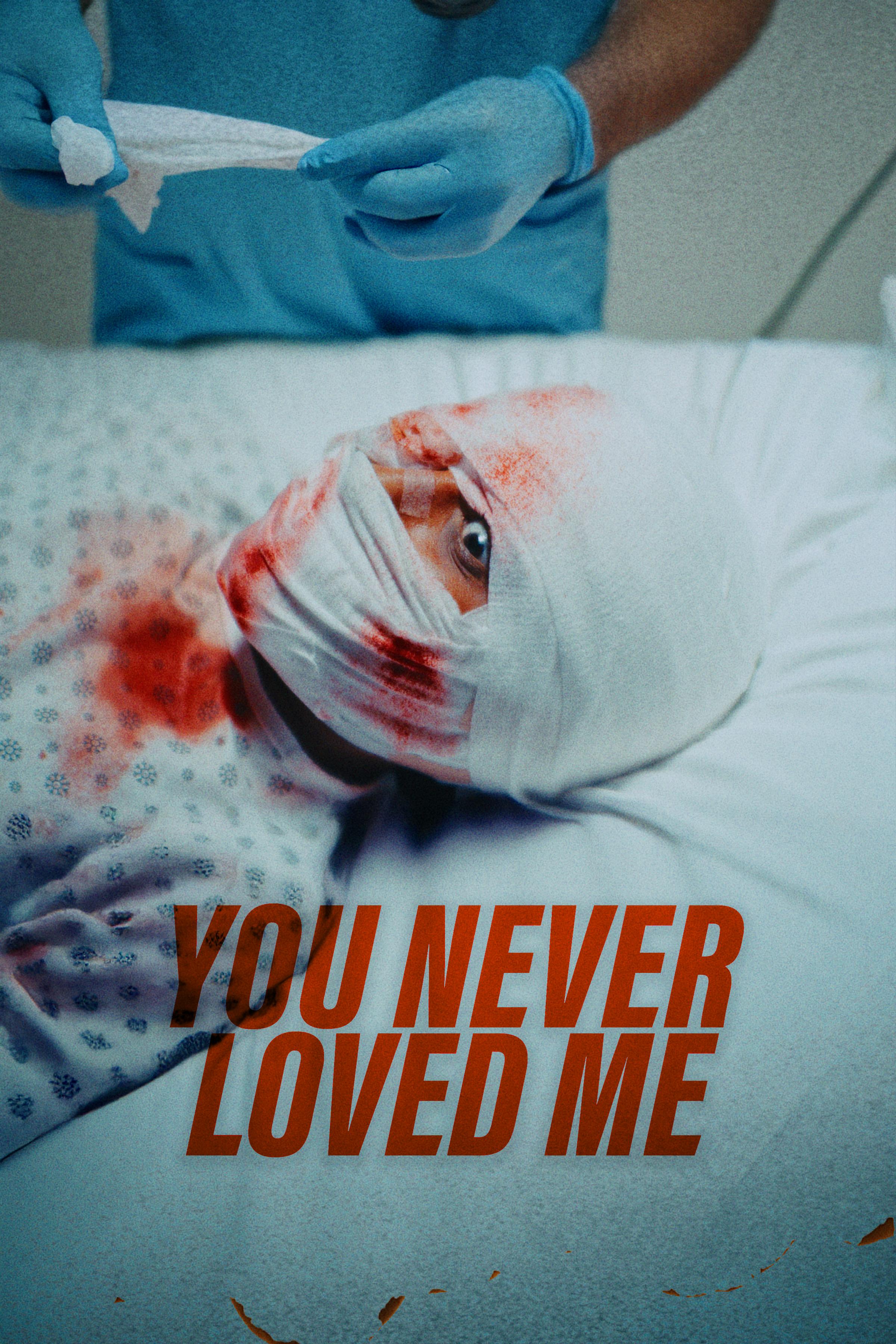 You Never Loved Me