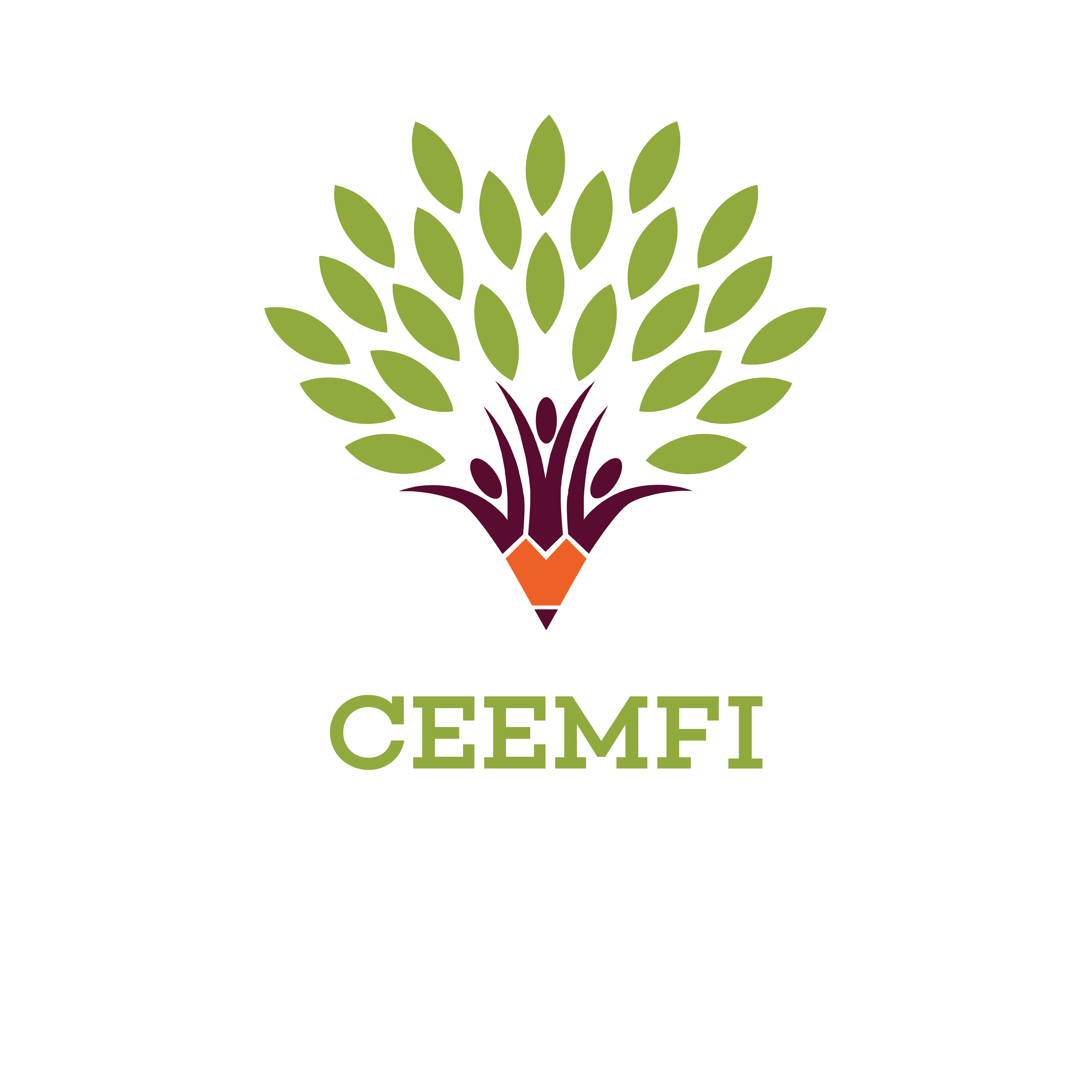 CEEMFI — Centro Europeo de Educación en Medicina Funcional e Integrativa