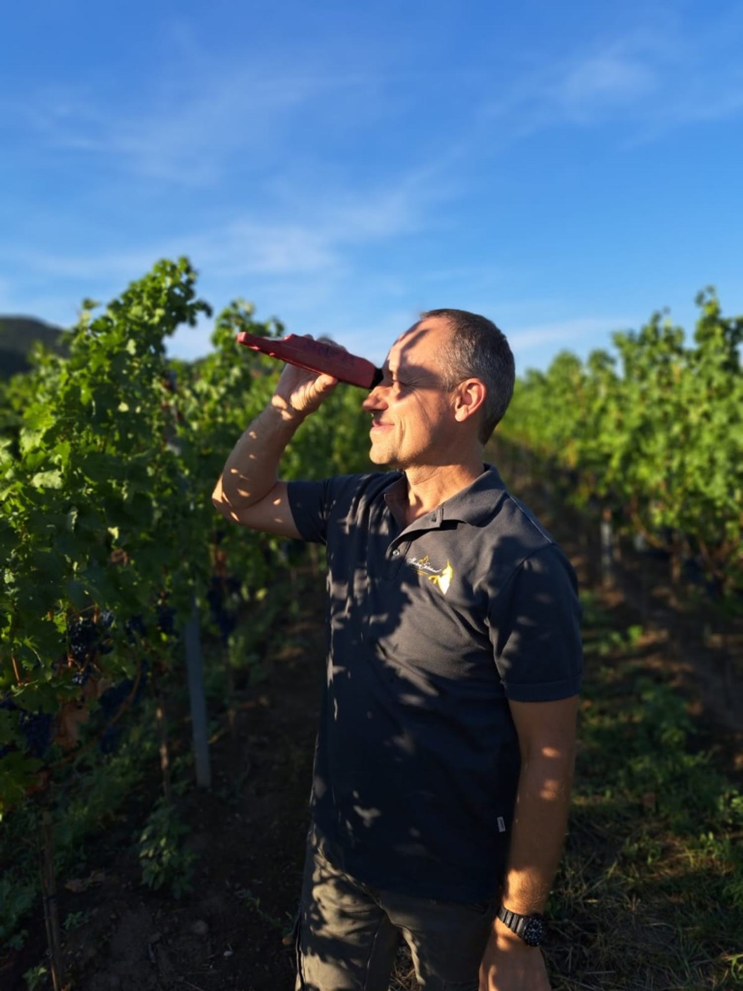 Markus Schwaab bei der Reifemessung im Weinberg