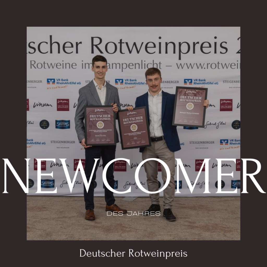 Newcomer des Jahres