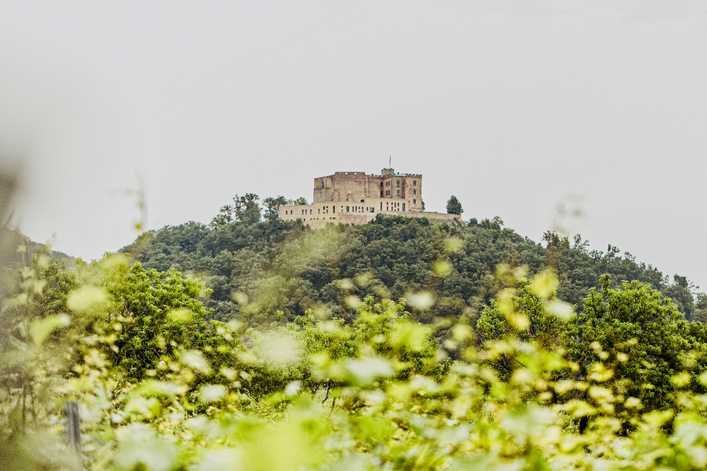 Burg Hambach