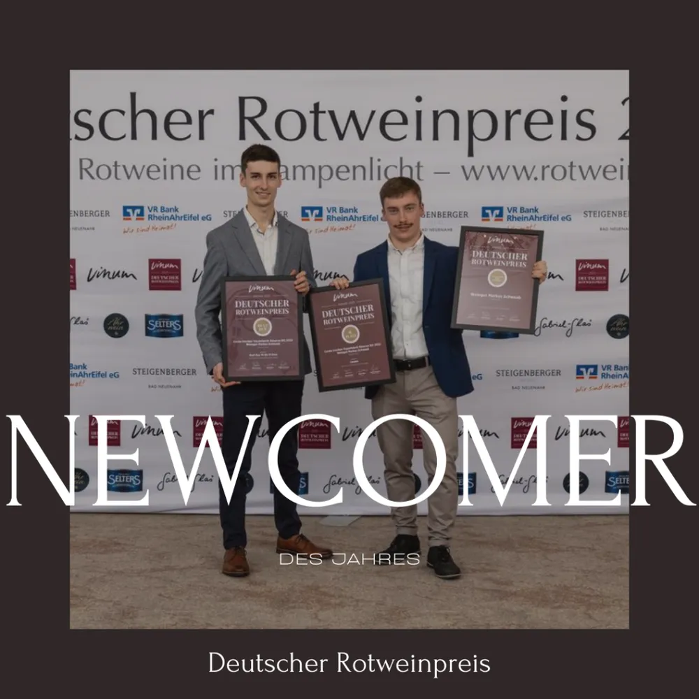 Newcomer des Jahres