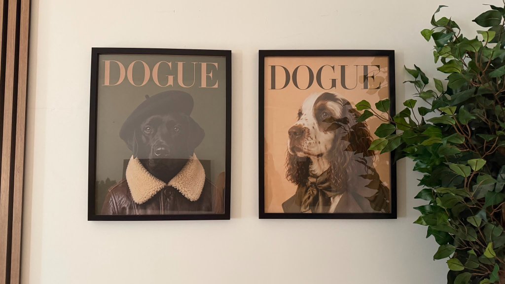 Two framed DOGUE prints on the resting room wall at House of Paws Retreat — playful, personalised art that gives the calm sleep space a designer home-from-home touch