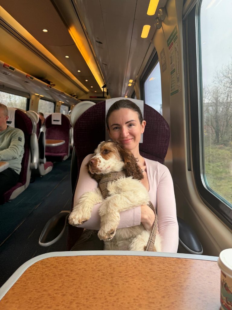 Rachel, owner of House of Paws Retreat, holding her young cocker spaniel Baxter on a train journey