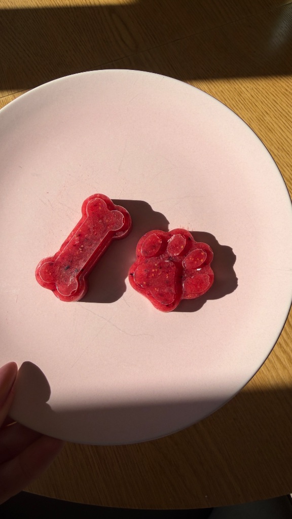 Homemade frozen fruit dog treats — lick mat enrichment served during a dog day care stay at House of Paws