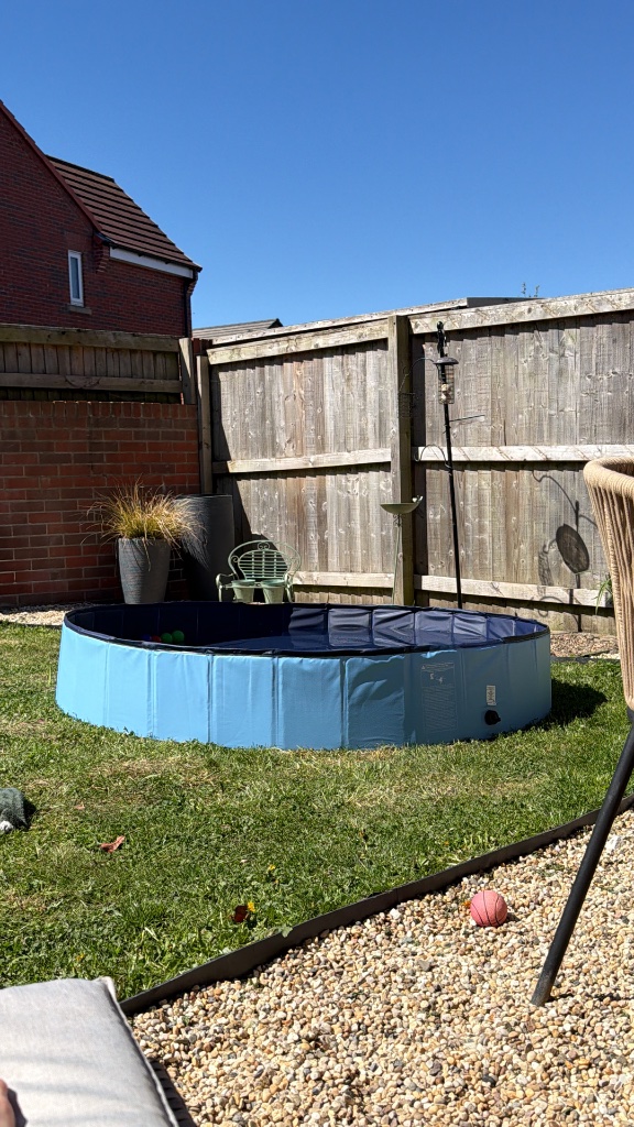 Cooling pet pool in the enclosed garden on a sunny day at the home dog boarding in Derbyshire