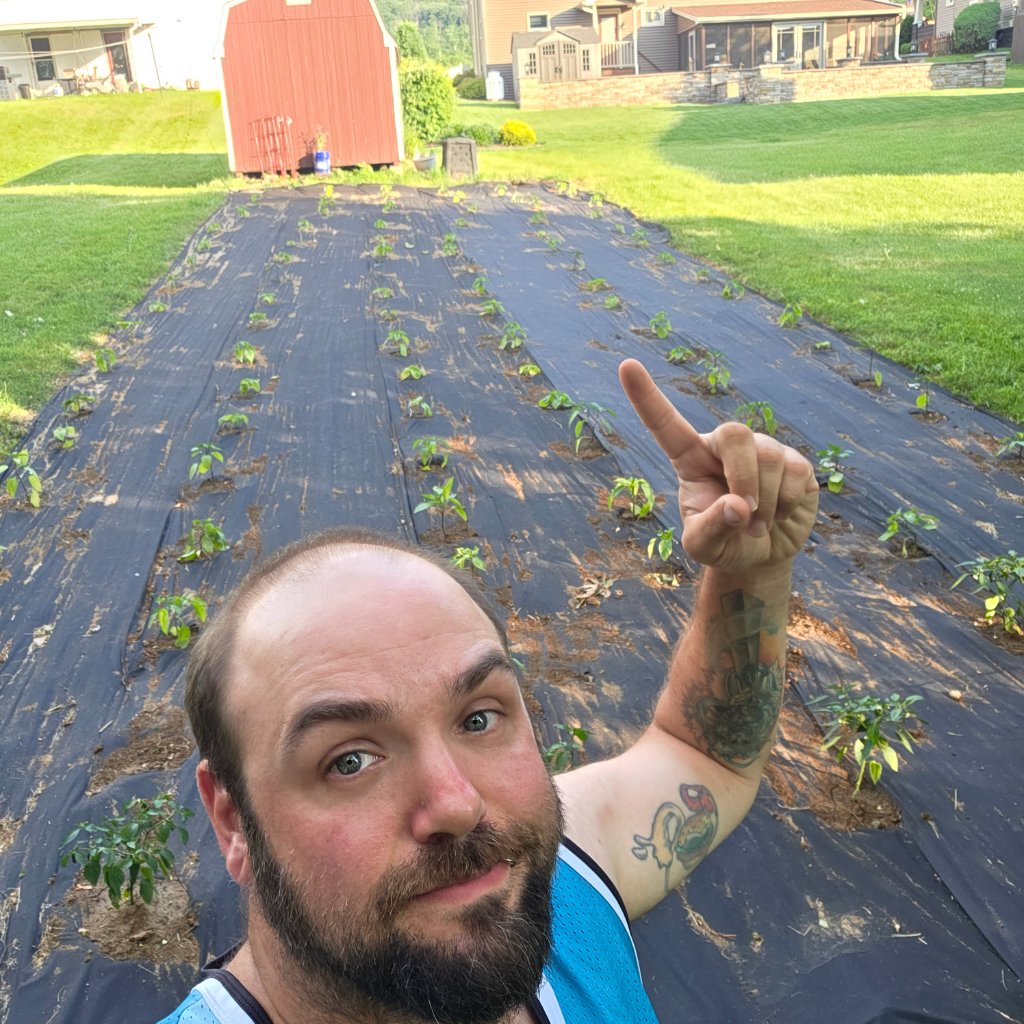 Joe in the pepper garden