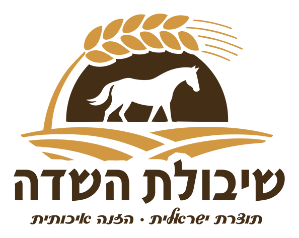 שיבולת השדה