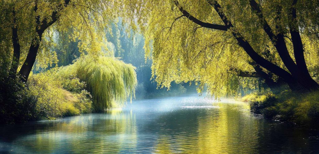 Dr Beverly Slater Clinical Psychologist Johannesburg