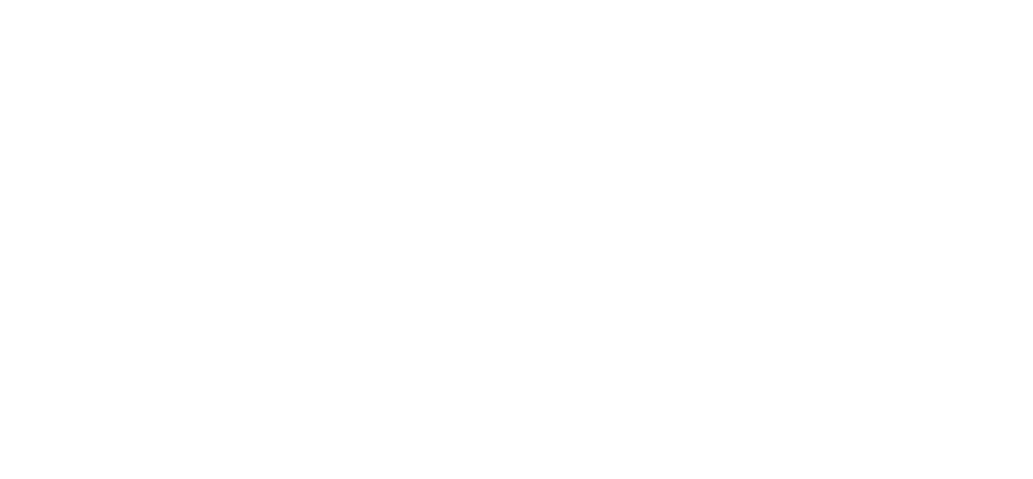The Business Finance Group