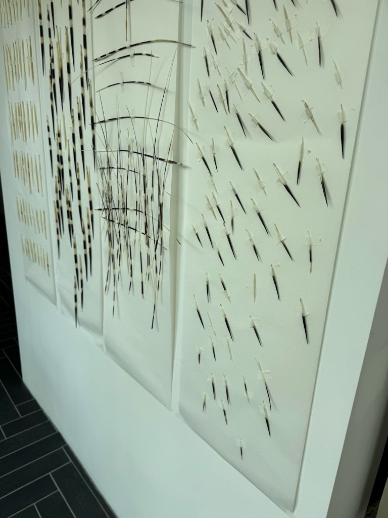 Three-panel porcupine quill installation on wall | מיצב קוצי דורבן על גבי שלושה לוחות על הקיר