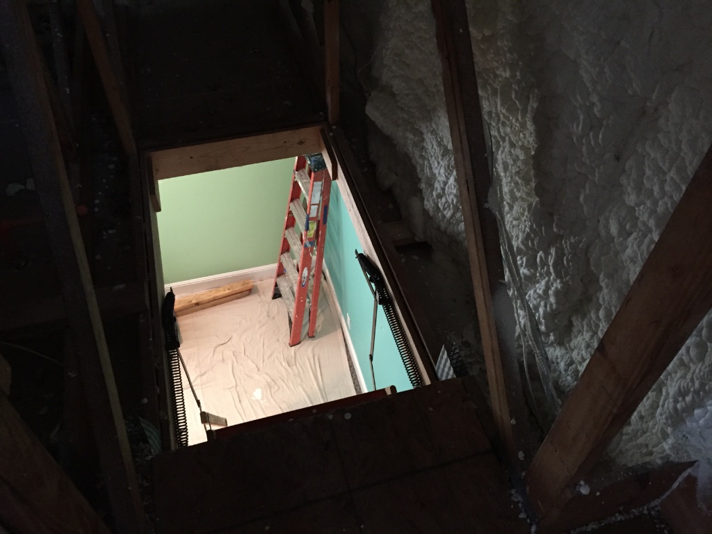 Dark Shelving — Wide Room View