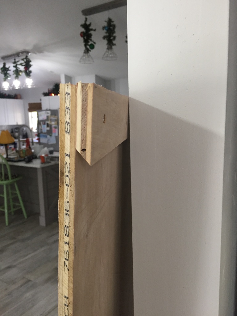Barn Door Plans — Side View