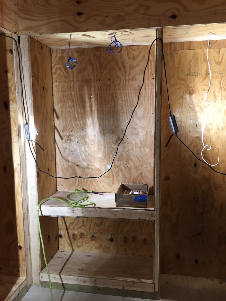 Sauna — Plywood Framing Stage