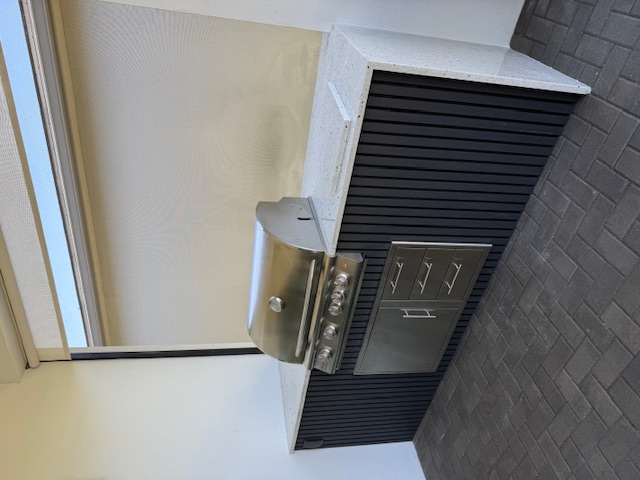 Black Slat + Roller Screen