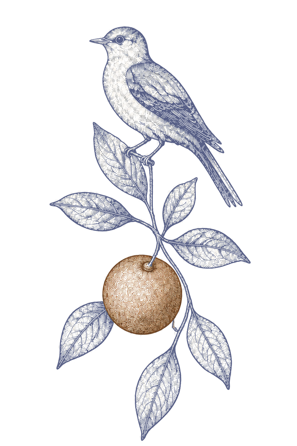 Rigby Wood Interior Design bird and citrus mark