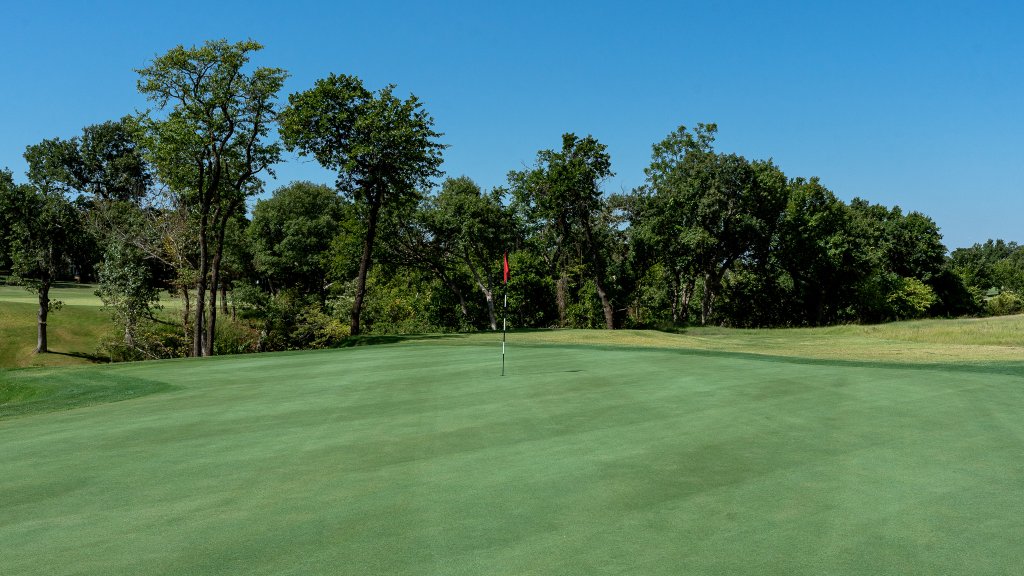 Tour-level bent-grass putting green