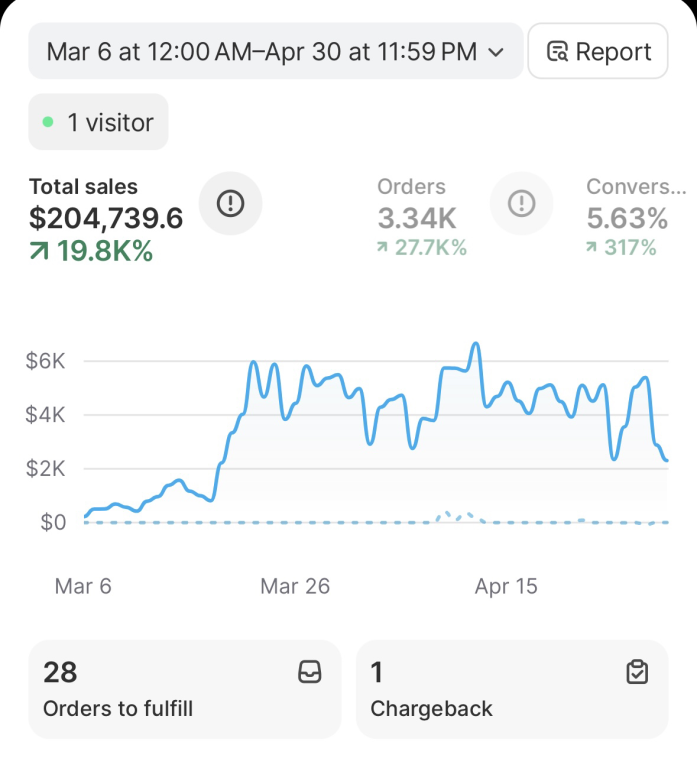 Store Analytics — $204,739 Total Sales