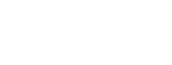 Triton Data Services