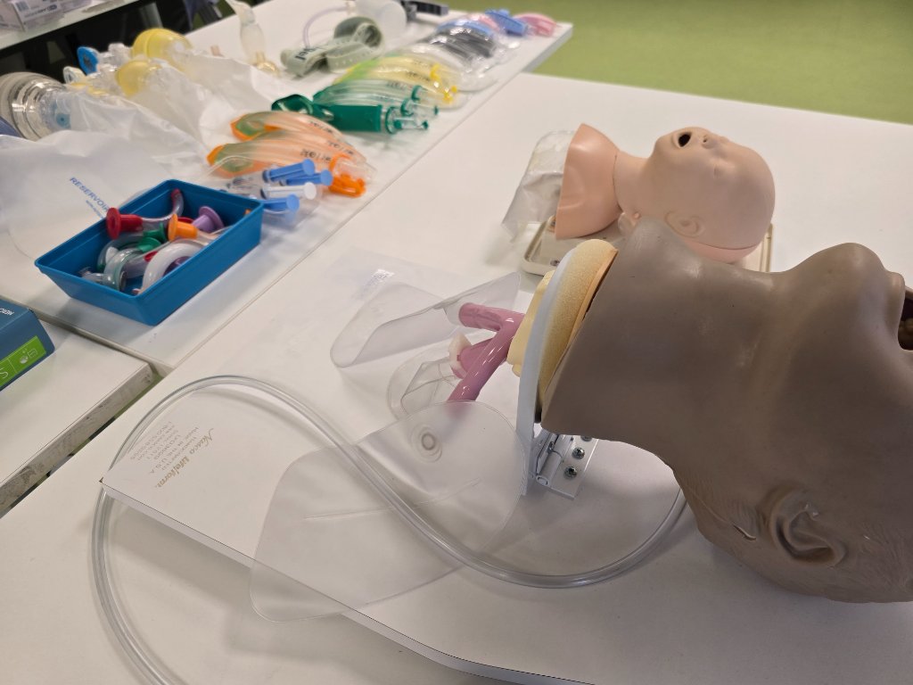 First Aid, Health & Safety Courses