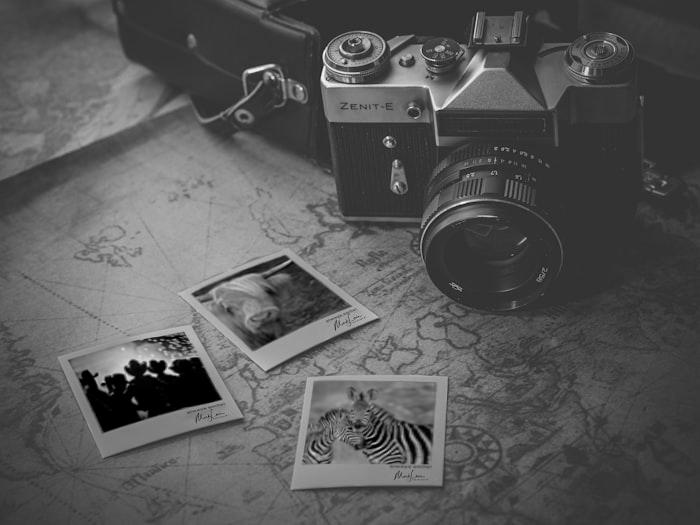 Camera