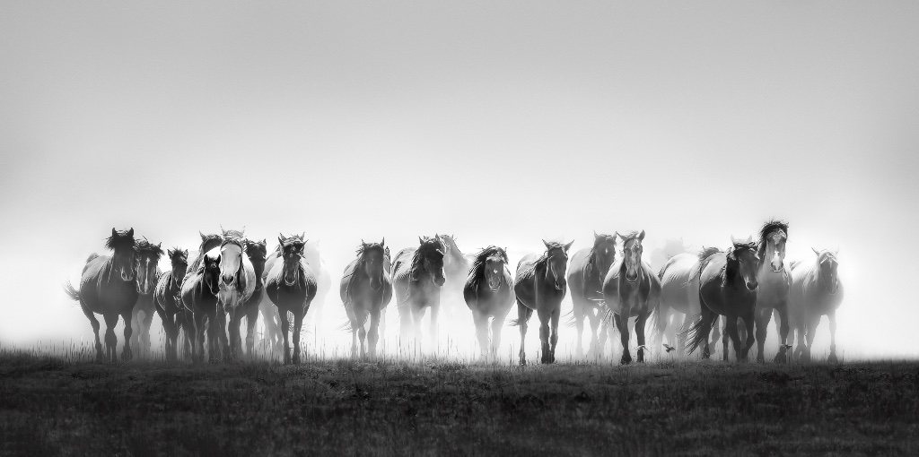 Unbridled