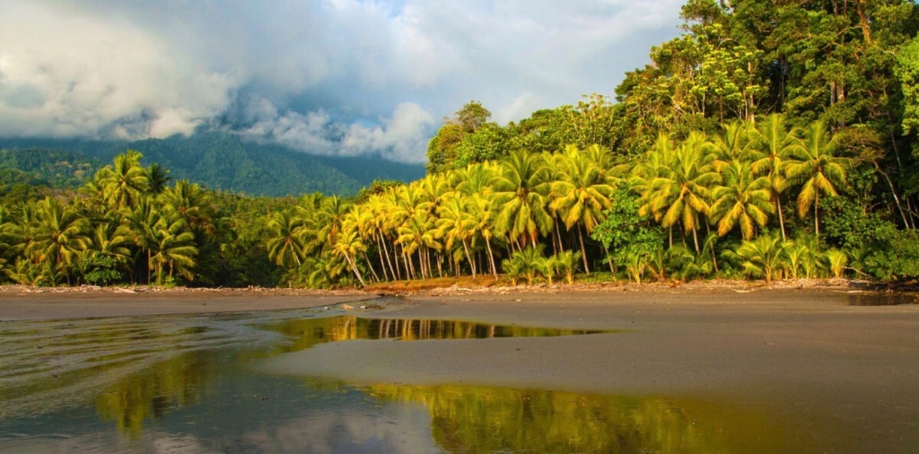 Uvita