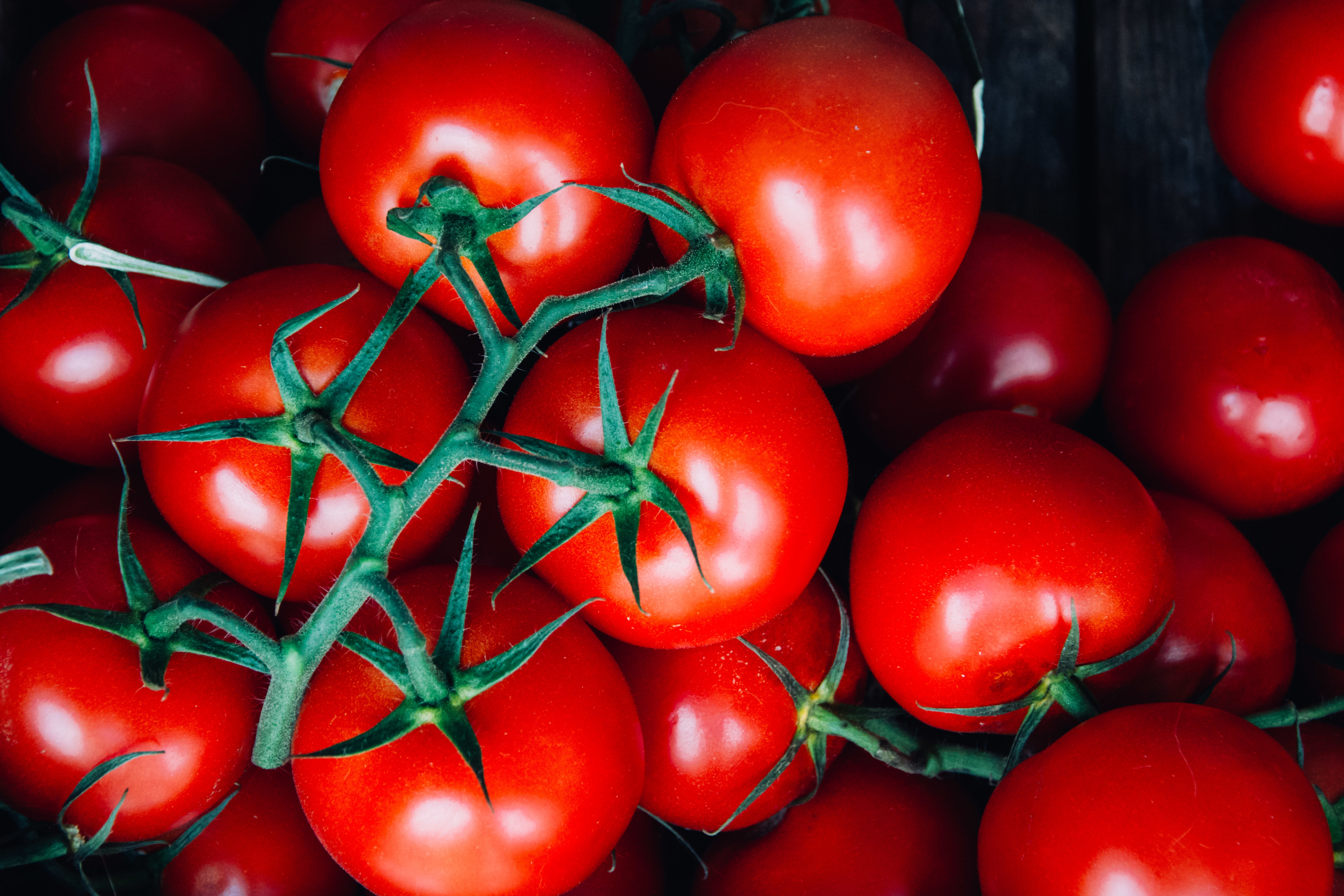 Easy At-Home Tomato Canning