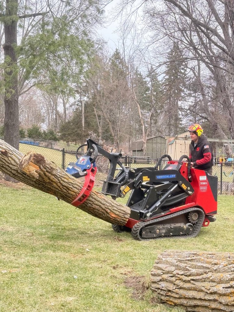 Toro Dingo Moving Heavy Log — VK Crew on the Job