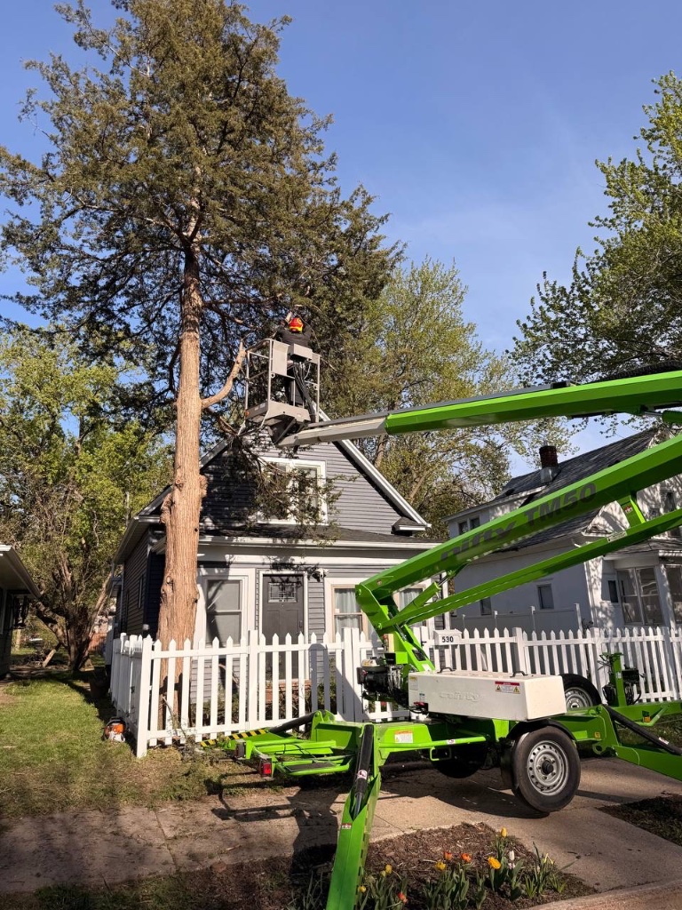 Nitro TM60 — Tree Removal Near Roofline