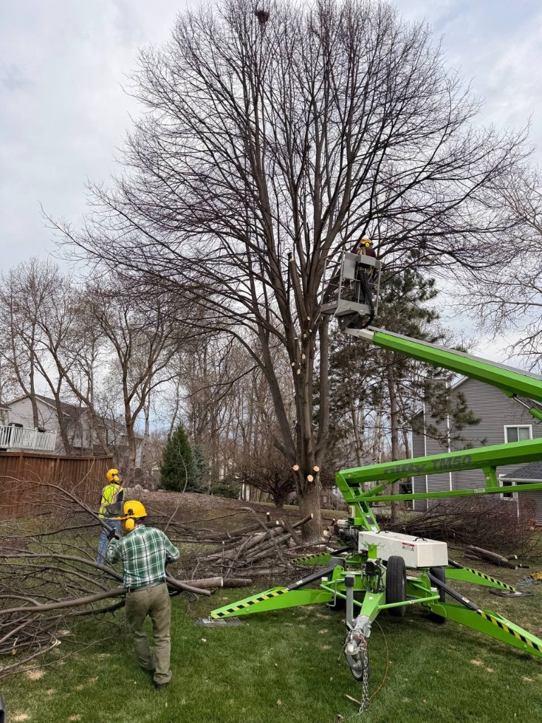 Nitro TM60 — Three-Man Crew Large Tree Removal