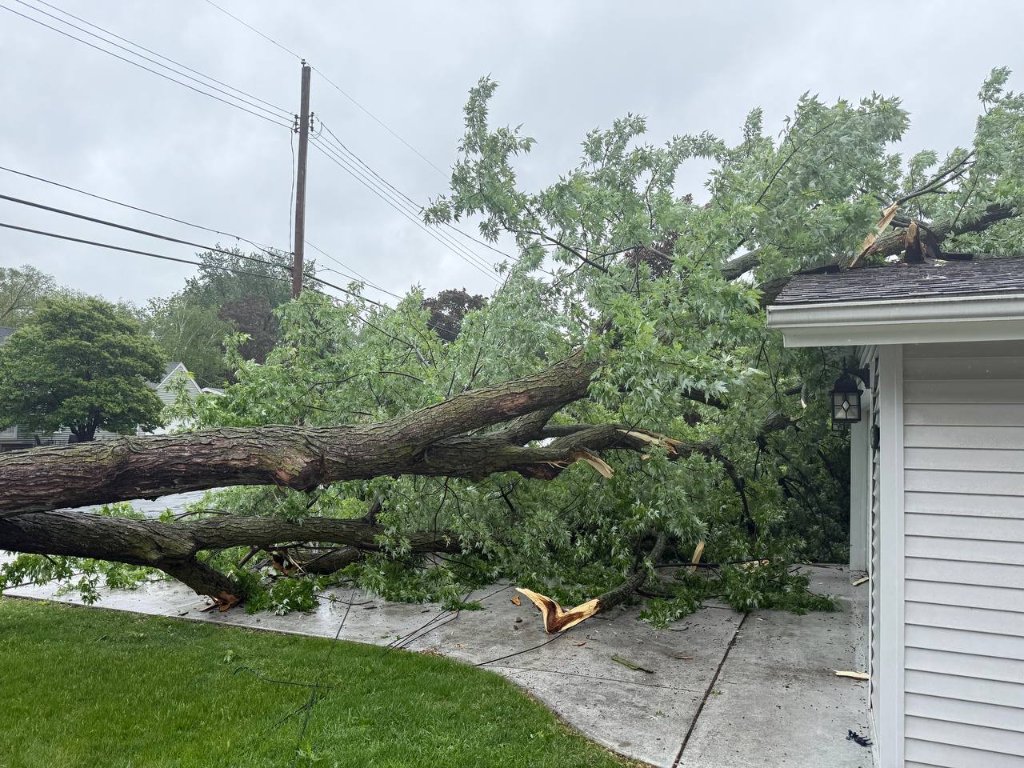 Storm Tree Through Garage — Emergency Removal