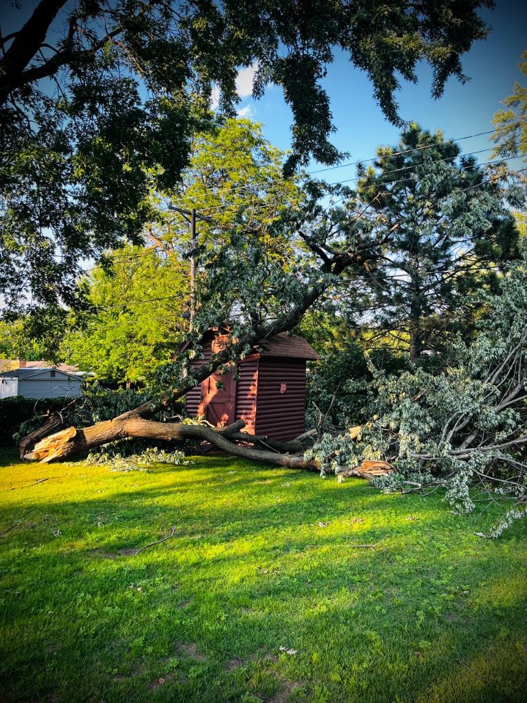 Emergency Storm Response — Tree on House