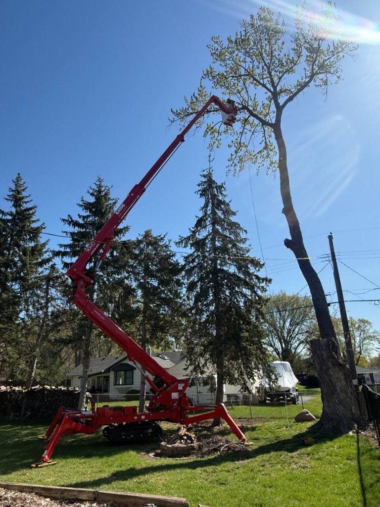 St. Paul's 24-Hour Tree & Stump Experts
